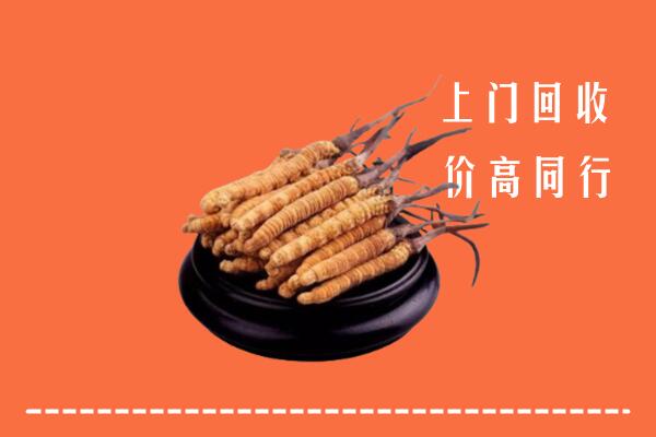 高价求购：肃北县回收散虫草