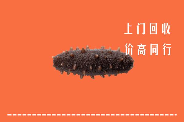 高价求购：肃北县回收海参