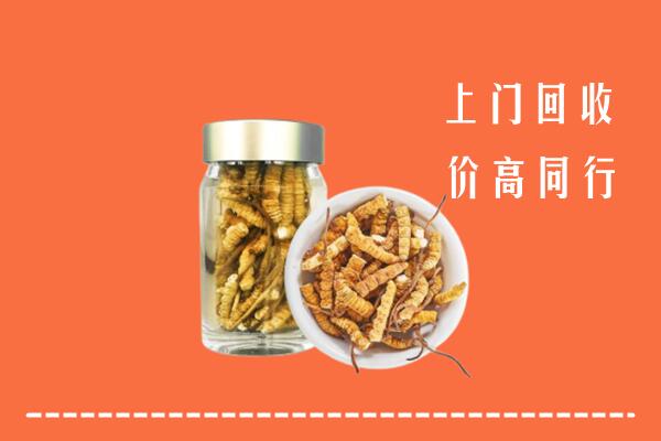 肃北县回收冬虫夏草