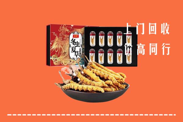 肃北县回收虫草